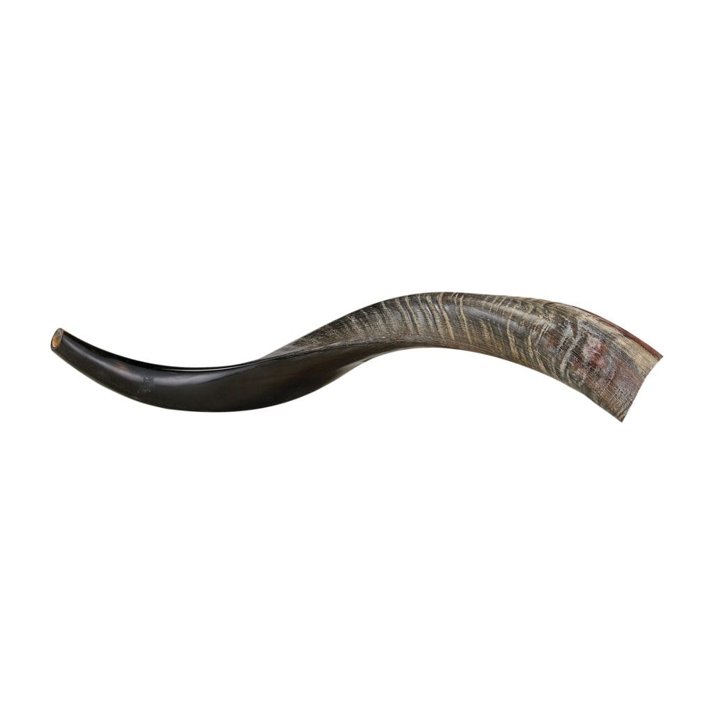 Yemenite Shofar, Approx. 24″ (60cm) – Rite Lite