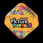 Picture Perfect Game