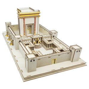 Colours Crafts Bais Hamikdash 350 pieces