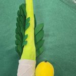 My Soft Lulav & Esrog Plush Set