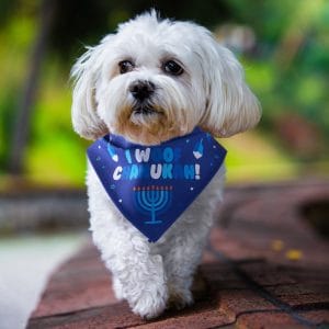 “Chewdaica”™ Chanukah Dog Bandana – Rite Lite