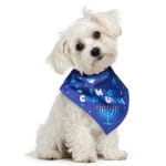 “Chewdaica”™ Chanukah Dog Bandana – Rite Lite – view 4